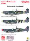 Nichimo Supermarine Spitfire Mk.IX 1/48 Scale Model