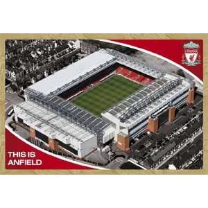 Fußball Poster Liverpool, Anfield Stadion + MDF Rahmen, Buche  