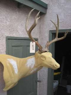 Awesome 7x4 MULE DEER RACK antlers whitetail moose elk taxidermy mount 