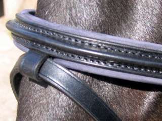 Stubben 155 BLUE Suede Padded German Leather Bridle NEW  