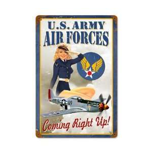  Air Forces Pin Up 