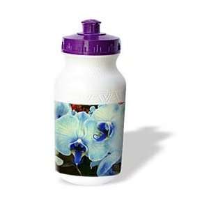  Florene Flowers   Blue Orchids   Water Bottles Sports 