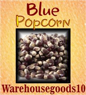 Blue popcorn is a unique and delicious snack This hybrid popcorn pops 