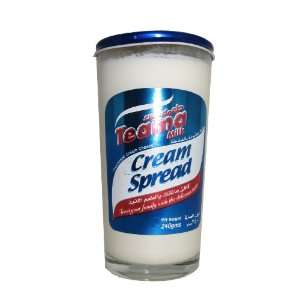 Tema Cream Cheese Spread (Queso Fundido) 8.5 Oz:  Grocery 