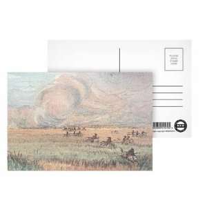 Missouri prairie fire (colour litho) by George Catlin   Postcard (Pack 