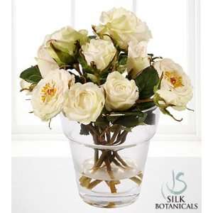 Jane Seymour Silk Botanicals White Garden Roses  Grocery 