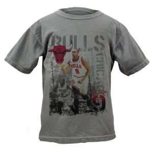 Luol Deng Chicago Bulls Youth Titanium Caged Player Soft Hand Pigment 