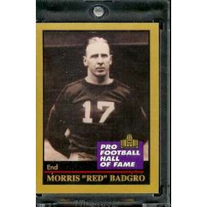  1991 ENOR Red Badgro Football Hall of Fame Card #5   Mint 
