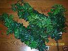 Giant Grape Ivy w Frosted Red Leaves Bush 40 Grapes items in Alis 