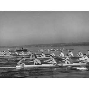  Washington Univ. Rowing Team Practicing on Lake Washington 