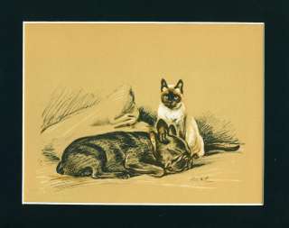  Dog Print 1937 French Bulldog & Siamese Cat by Lucy Dawson  