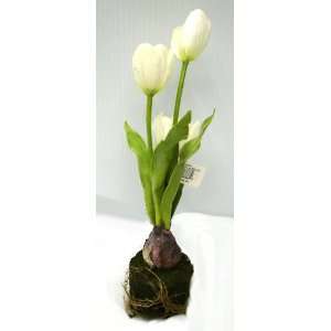  4 White Dwarf Tulip Plants Silk Flowers 13